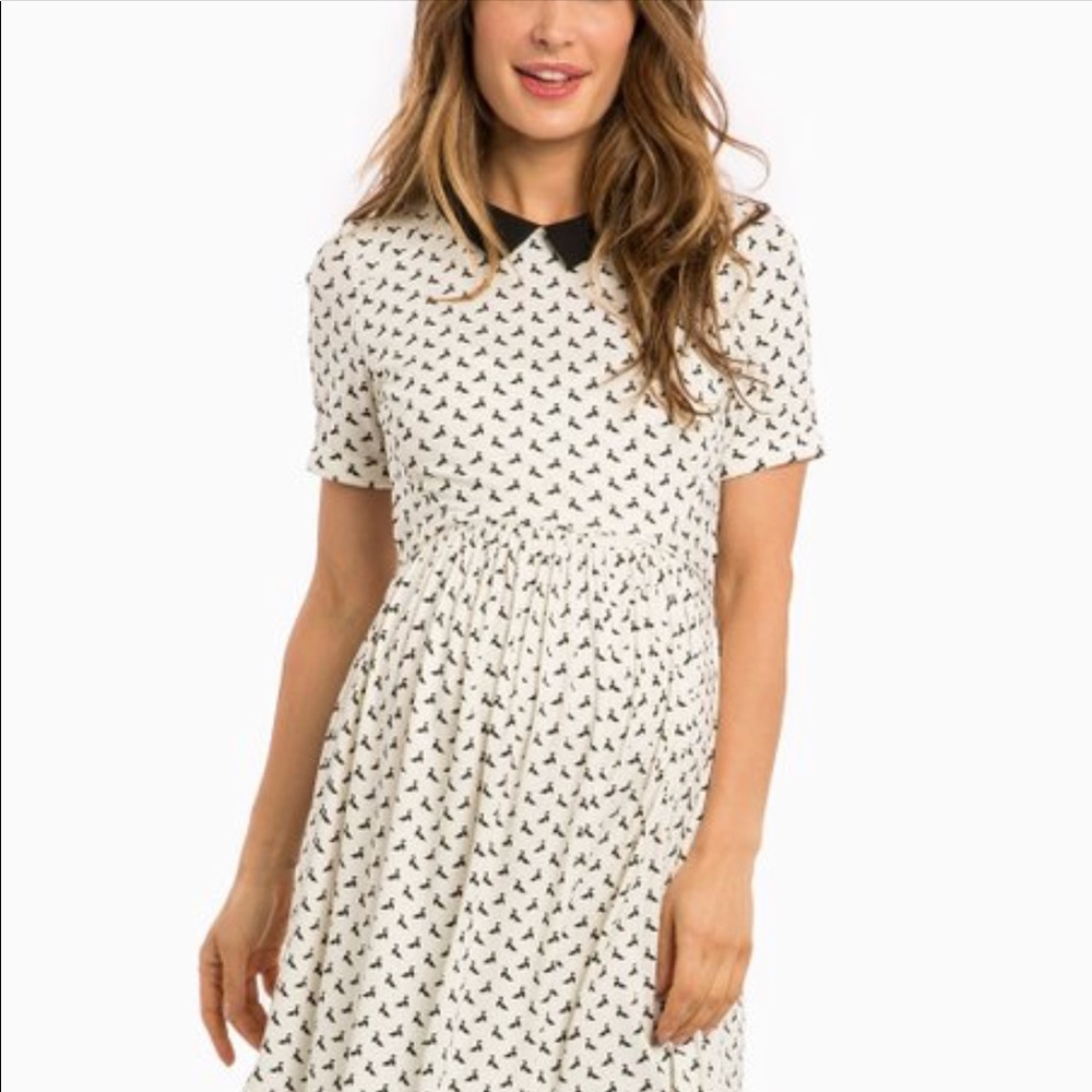 NWT! Peter Pan Collar Nursing Dress